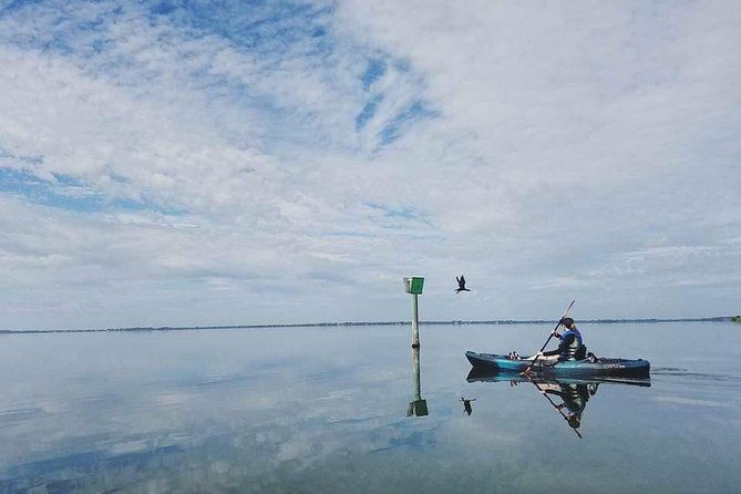 thousand-island-mangrove-tunnel-manatee-dolphin-kayak-tour-w-cocoa-kayaking