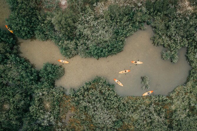 thousand-islands-mangrove-tunnel-kayak-tour-with-cocoa-kayaking