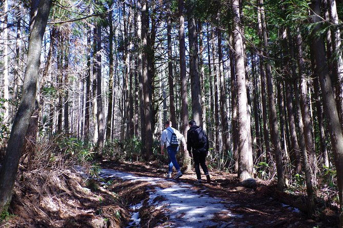togakushi-shrine-hiking-trails-tour-with-soba-in-nagano-2