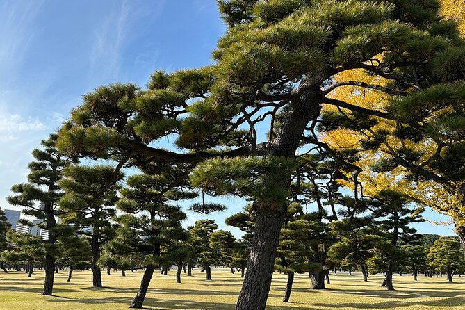 tokyo-castle-imperial-palace-historical-walking-tour