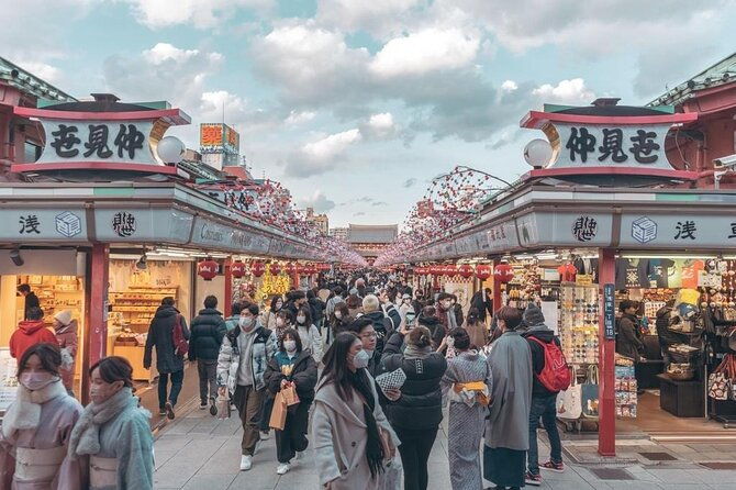 tokyo-cherry-blossom-private-one-day-tour