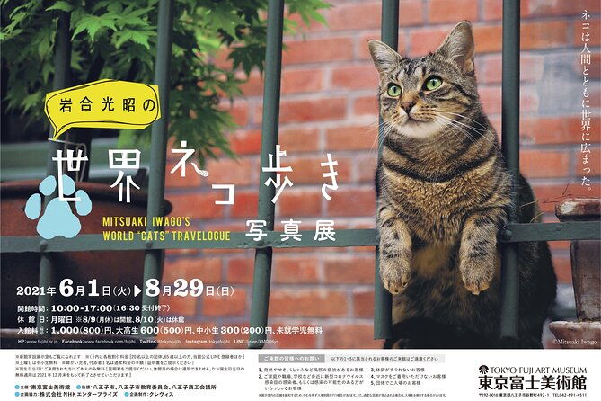 tokyo-fuji-art-museum-admission-ticket-special-exhibition-when-being-held