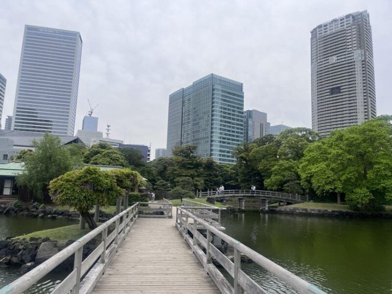 tokyo-highlights-tour-sumo-sushi-tea-and-tokyo-tower