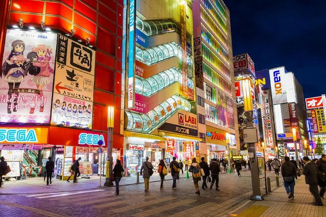tokyo-history-tour-with-a-local-guide-private-tailored-to-your-interests