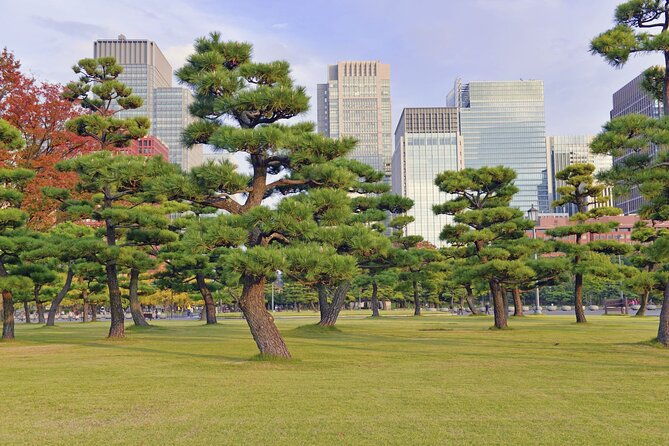 tokyo-morning-small-group-tour