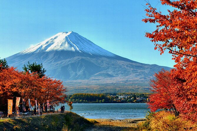 tokyo-mt-fuji-oshino-hakkai-and-gotemba-outlets-1day-bus-tour