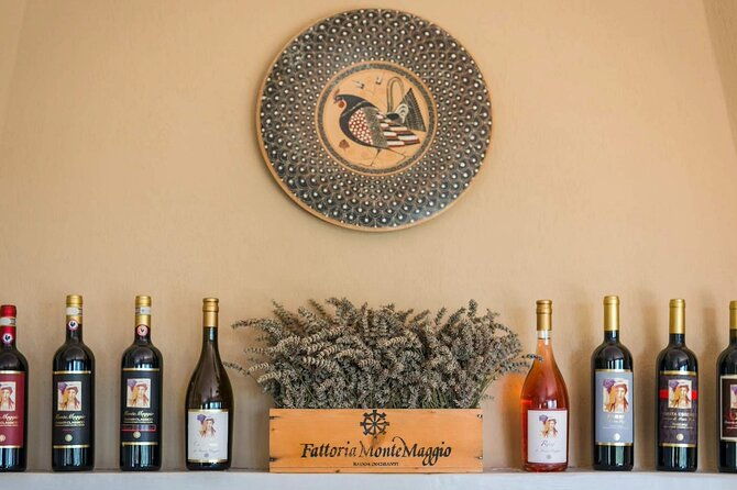 tour-and-tasting-at-an-organic-winery-in-the-heart-of-chianti-classico-area