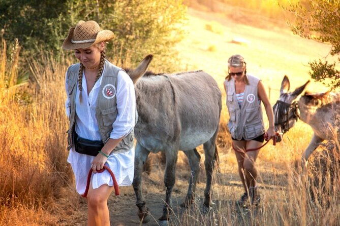 tour-the-sanctuary-and-walk-with-the-donkeys-and-share-their-love