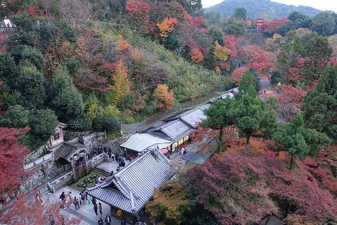 treasures-of-kyoto-fushimi-inari-kiyomizu-temple-and-more