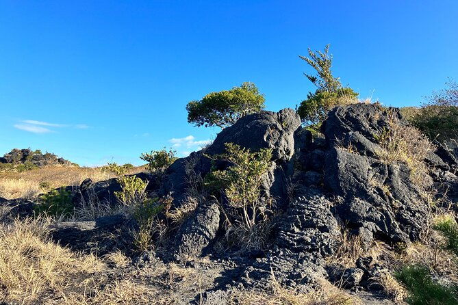 trekking-volcanic-island-in-izu-oshima