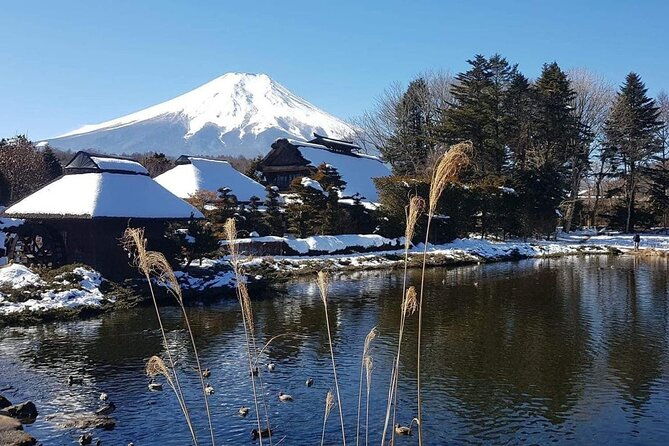 trip-to-mt-fuji-and-lake-kawaguchiko-with-english-speaking-driver