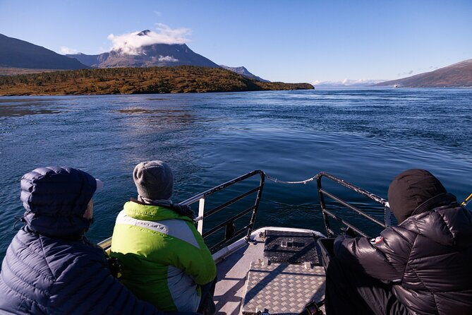 tromso-all-inclusive-polar-fjord-fishing-cruise
