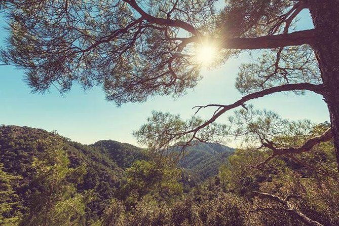 troodos-jeep-safari-from-protarasayia-napa-larnaca