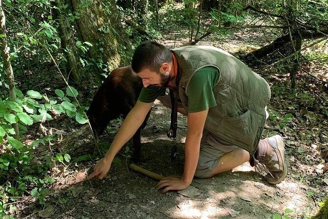 truffle-hunting-adventure