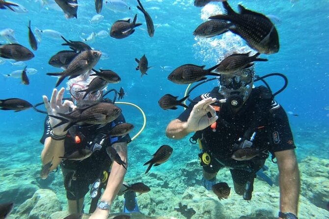 try-a-scuba-diving-experience