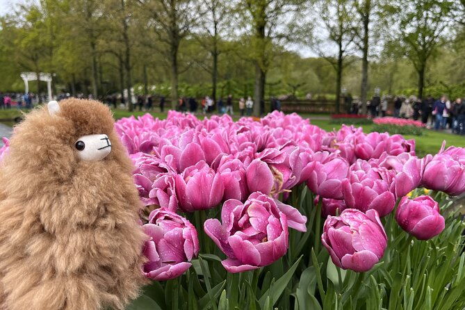 tulip-paradise-keukenhof-half-day-private-tour