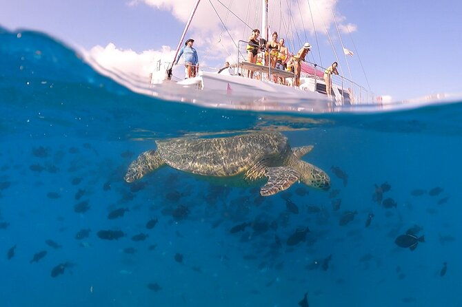 turtle-snorkeling-boat-tour-and-adventure-in-waikiki