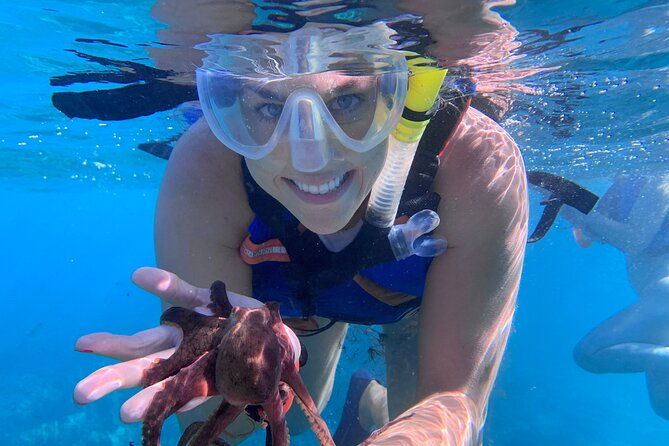 turtle-town-snorkel-with-photo-and-video