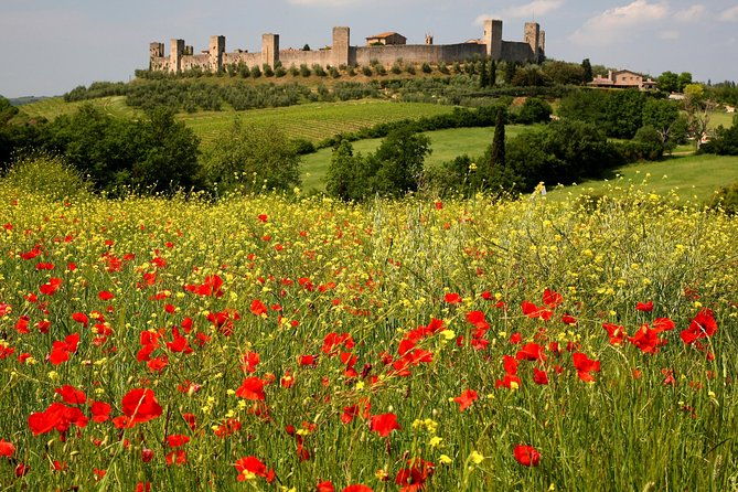 tuscany-hiking-tour-from-siena-including-wine-tasting