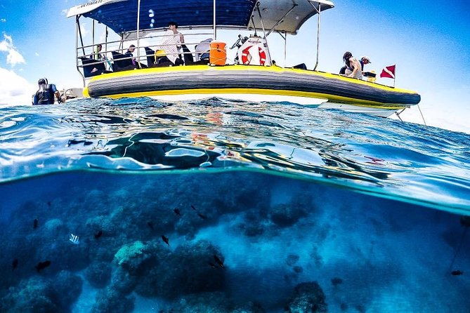 ultimate-4-hour-lanai-snorkel-and-dolphin-encounter