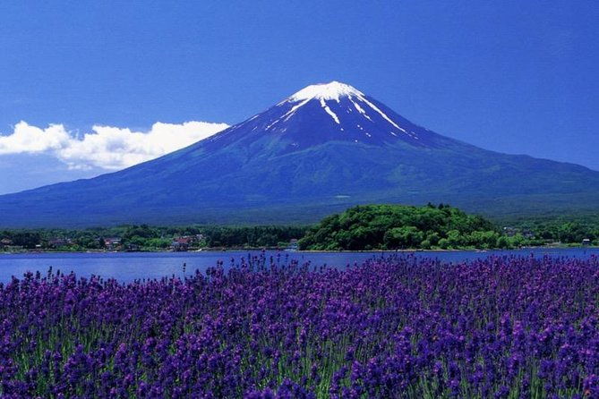 view-of-mt-fuji-is-good-sushi-making-experience-class