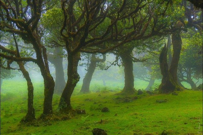 west-of-madeira-full-day-4x4-tour