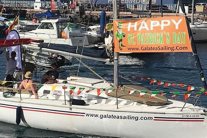 whale-and-dolphin-small-group-sailing-from-tenerife-south