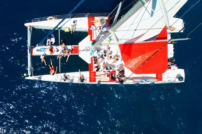 whale-watching-and-listening-eco-catamaran-tour-with-food-tasting