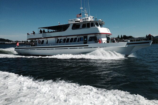 whale-watching-from-friday-harbor