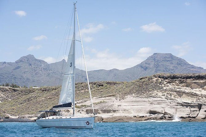 whales-dolphins-watching-in-exclusive-sailboat