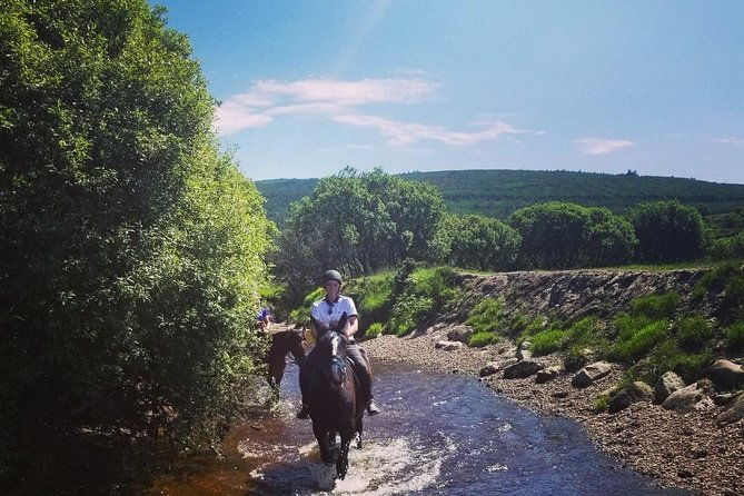 wicklow-mountains-horse-trekking
