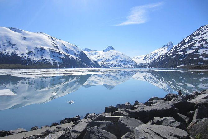 wildlife-and-glaciers-with-a-walk-in-the-rainforest