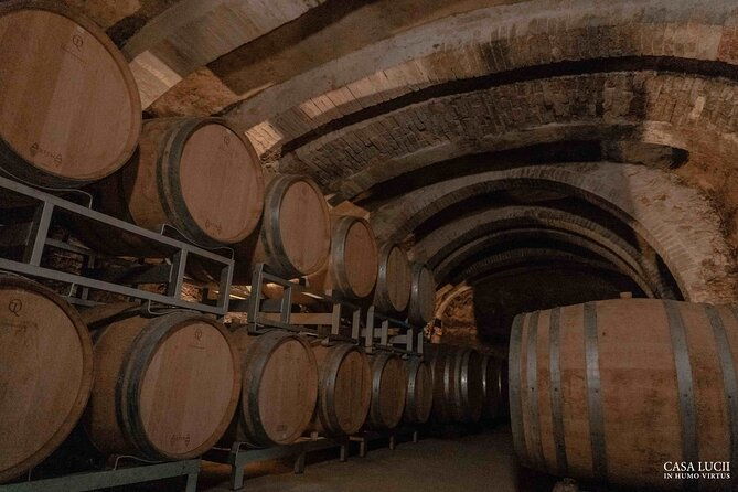 wine-and-food-tasting-in-an-organic-family-winery