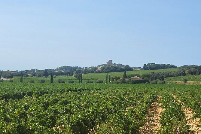 wine-and-romans