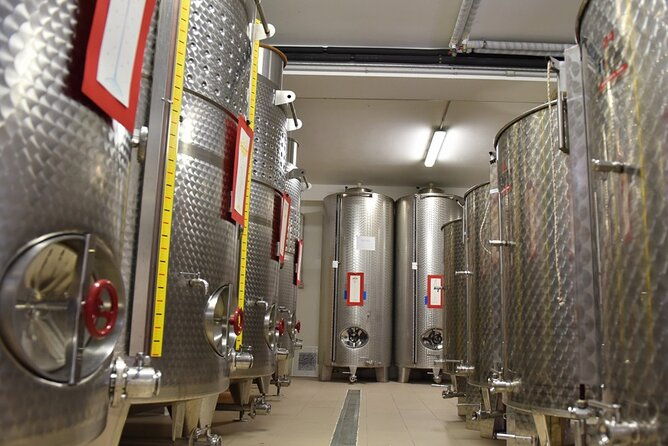 wine-tasting-and-guided-visit-to-the-vineyard-and-cellar-in-s-maria-imbaro