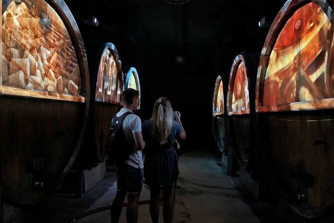 wine-tasting-and-immersive-cellar-tour