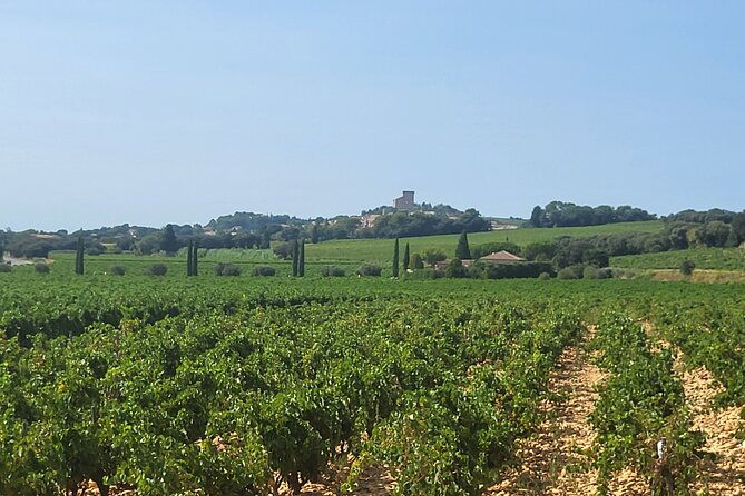 wine-tasting-tour-at-chateauneuf-du-pape
