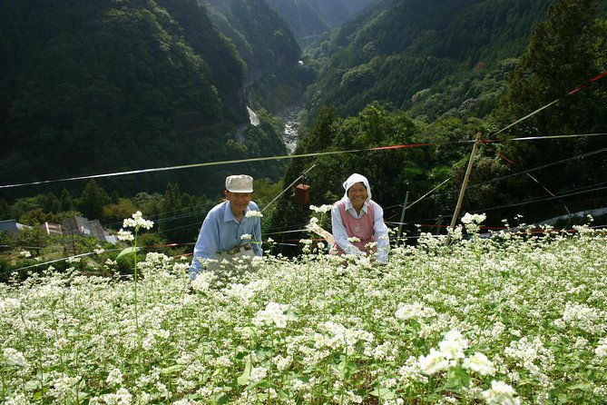 world-agricultural-heritage-brompton-slow-cycling-tour