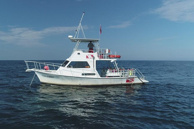 wreck-and-bridge-span-dive-for-certified-divers