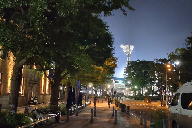 yokohama-private-tour-night-view