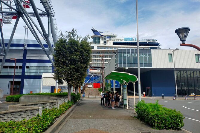 4-5-6-hours-private-osaka-tour-designed-for-cruise-passengers