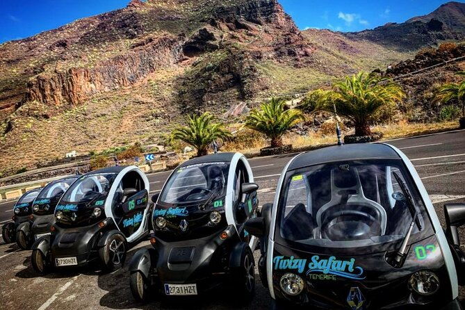 4-hours-eco-safari-tour-with-electric-car-in-tenerife