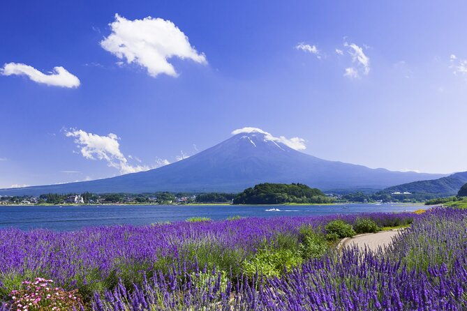 1-day-private-tour-fuji-fujiq-kawaguchiko-pagoda