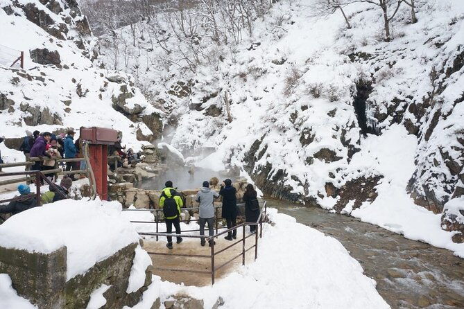 1-day-snow-monkeys-zenko-ji-temple-sake-in-nagano