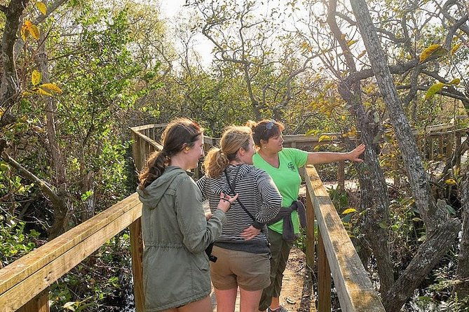 1-hour-air-boat-ride-and-nature-walk-with-naturalist-in-everglades-national-park