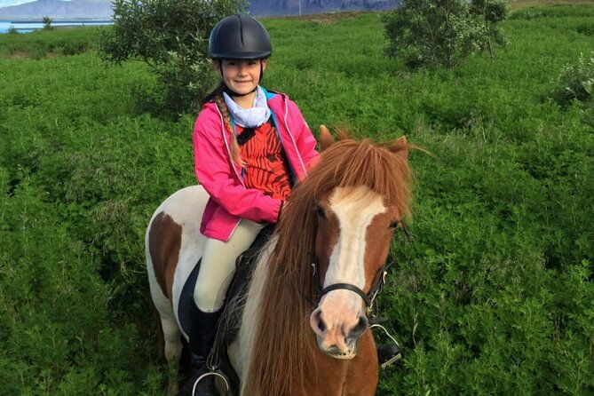 1-hour-private-horse-riding-tour-from-reykjavik-mosfellsbaer