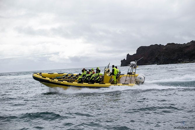 1-hour-small-group-sightseeing-boat-tour-in-vestmannaeyjar