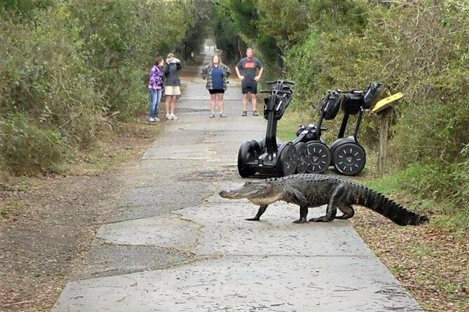 2-hour-guided-segway-tour-of-huntington-beach-state-park-in-myrtle-beach
