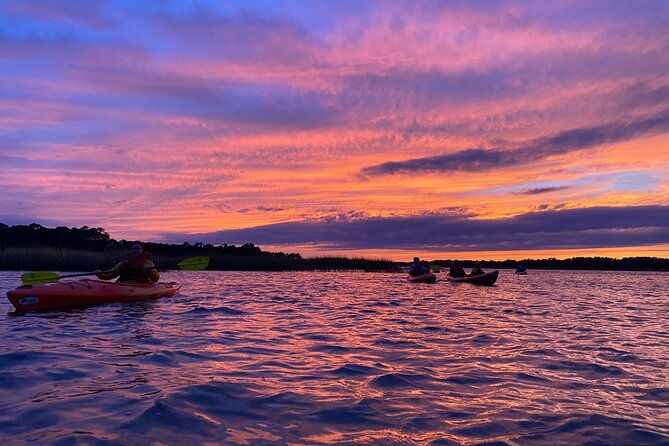 2-hour-hilton-head-guided-kayak-nature-tour