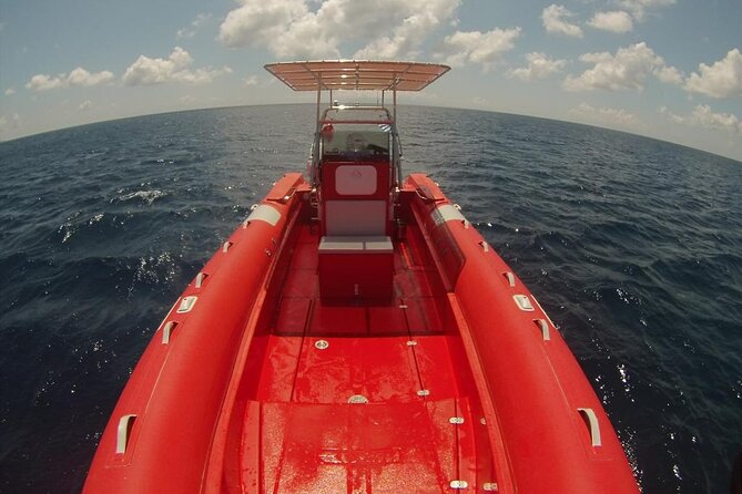 2-hour-mykonos-private-sea-safari-and-snorkeling-on-a-powerboat